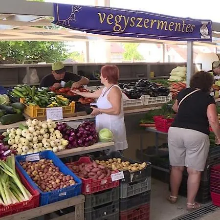 Nyaralohaz Hanga Fonyód