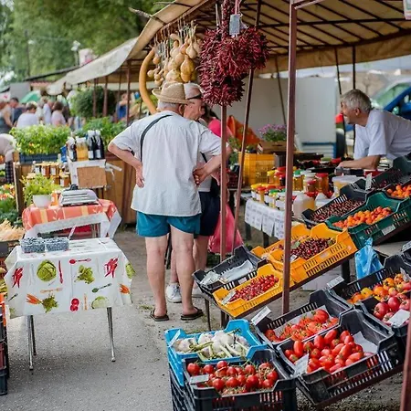 Nyaralohaz Hanga Dom wakacyjny