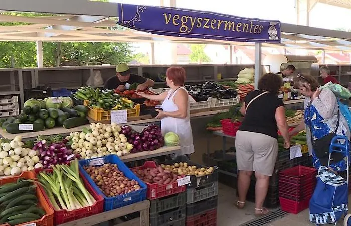 Nyaralohaz Hanga Fonyód